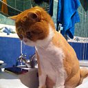 ���� �������, �����������, 61 ��� - ��������� 20 ������� 2014 � ������ ���� ����������