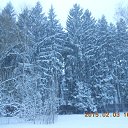 ���� �������, ������ - ��������� 4 ������� 2015 � ������ ������� "������ ������"�