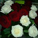 ���� ����, ����-�����������, 35 ��� - ��������� 19 ������� 2015 � ������ �������