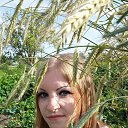 ���� ���, ����, 38 ��� - ��������� 14 ������� 2014 � ������ ���� ����������