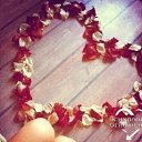 ���� ����, �������, 51 ��� - ��������� 8 ������� 2015 � ������ ������ ��������
