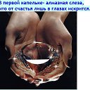���� ����, ������ - ��������� 8 ������ 2015 � ������ ���� ����������