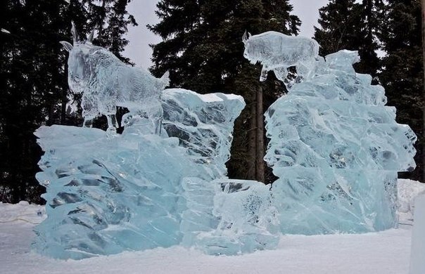     Ice Alaska 2013 - 5