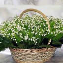 ��� ������� ����� �� ������� �� ���� ������...�