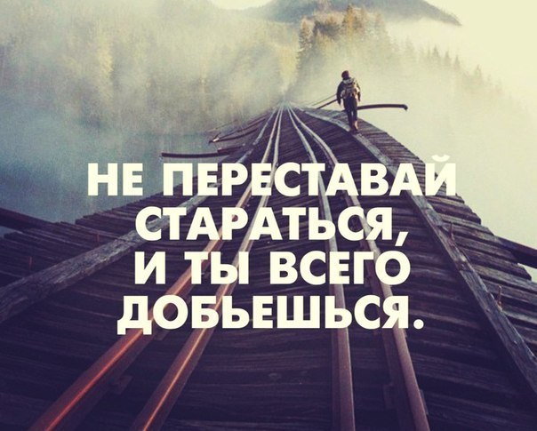    ! - 8  2015  18:41