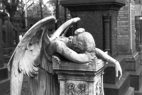  .    .     .   , ...