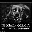 ���� �������, ������ - ��������� 15 ����� 2015 � ������ ��������������