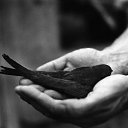 ���� �����, ��������, 56 ��� - ��������� 17 ������� 2015 � ������ ���� ����������