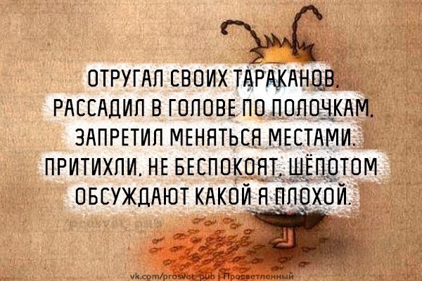  - 8  2015  19:51