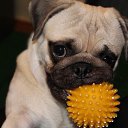 ���� ������ �������, �������, 67 ��� - ��������� 8 ����� 2015 � ������ ������ ����� � ���� .�