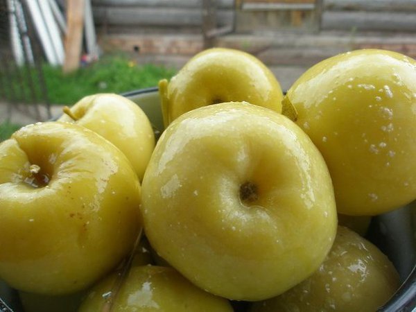Рецепты заготовок. Моченые яблоки в банках.Продукты на 2 кг яблок2 кг небольших яблок3 л воды150 г ...