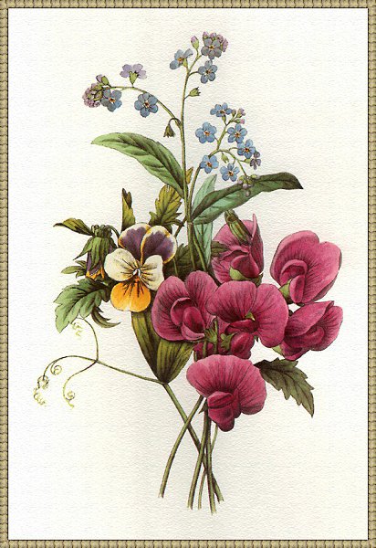 Varios Artists - 170