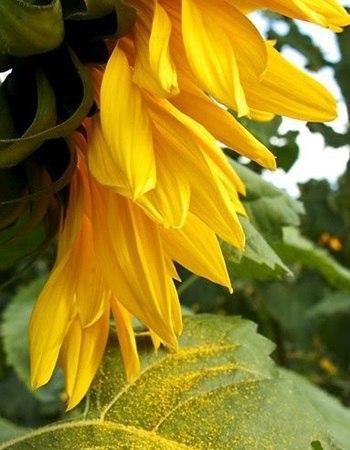 Ошибок не бывает. События, которые вторгаются в нашу жизнь, какими бы неприятными для нас они ни ... - 6