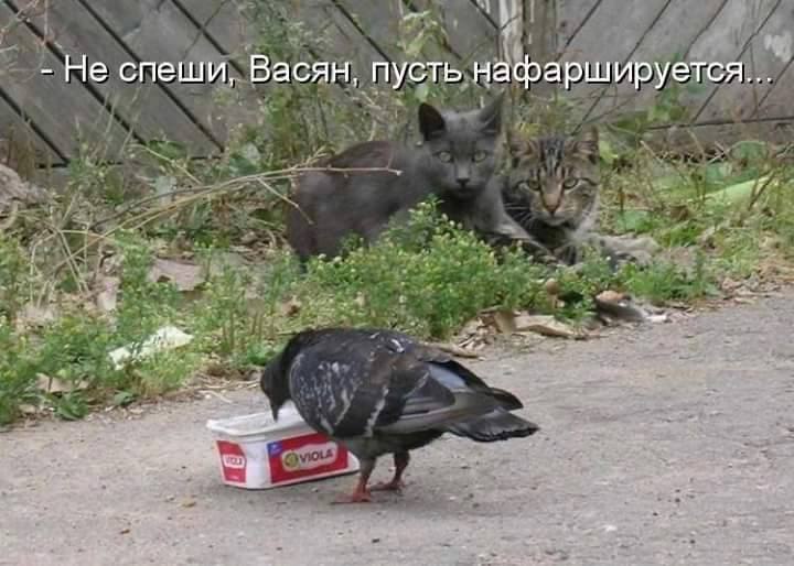 ���� - 2 ������ 2015 � 23:33