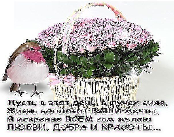   - 15  2015  18:06