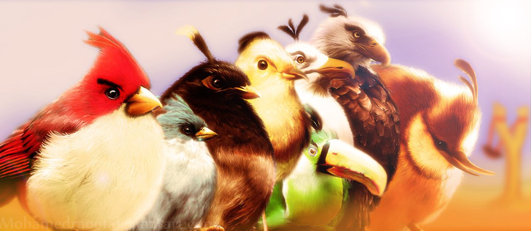  Angry Birds  