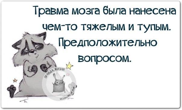   - 20  2015  02:33