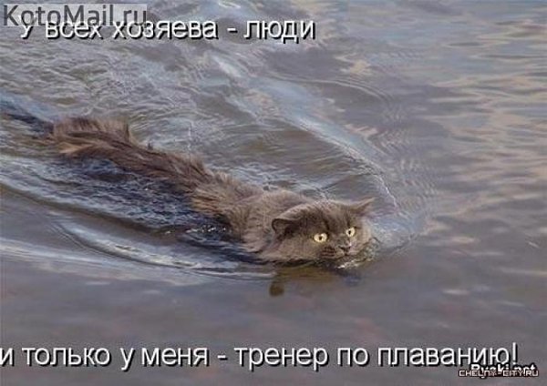 K���� K����� - 17 ������� 2015 � 13:30
