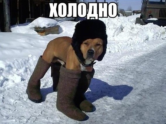   | , ,  - 9  2015  11:08