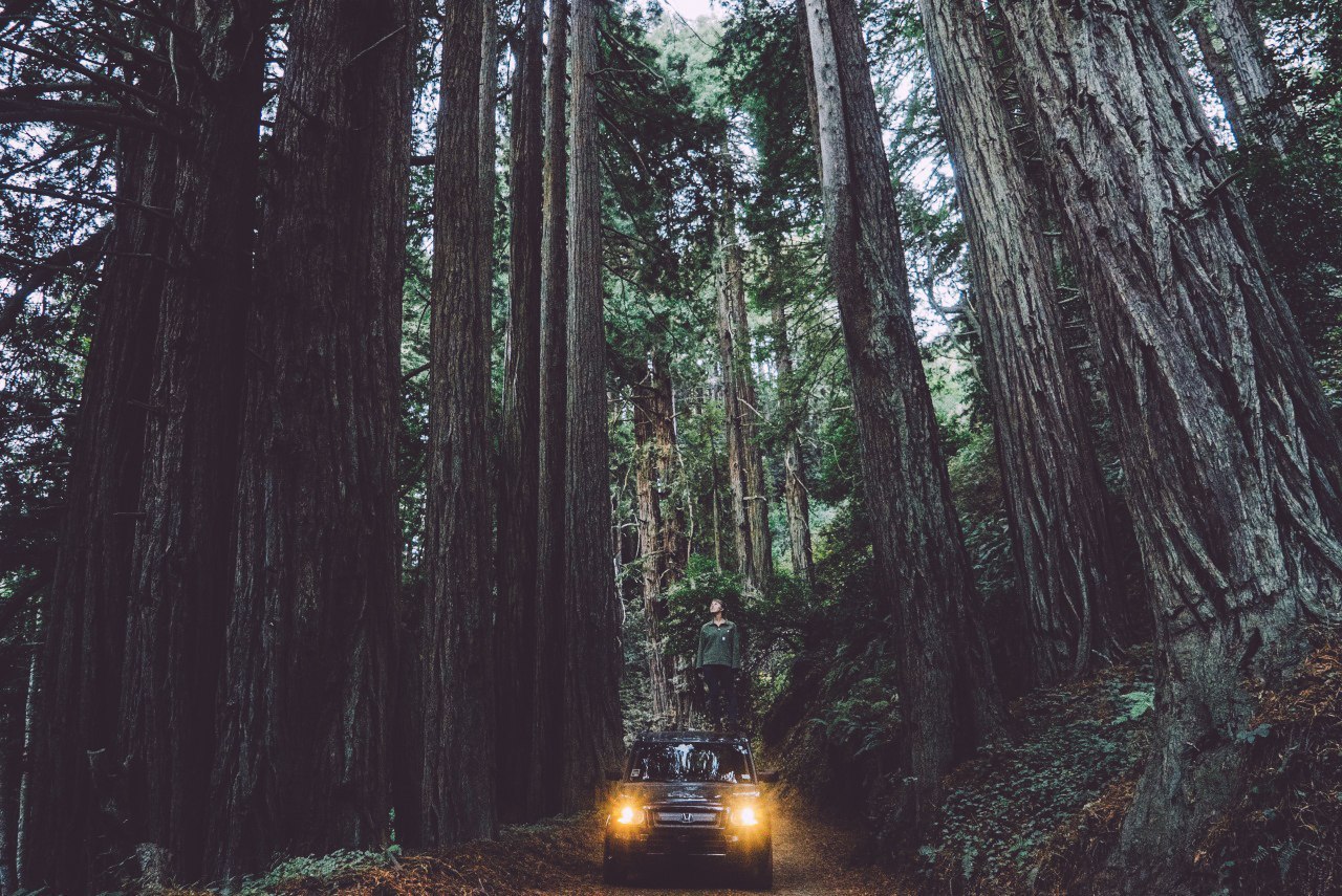Big Sur, California