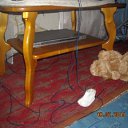 ���� ��������, �����������, 75 ��� - ��������� 5 ������ 2015 � ������ ���� �����