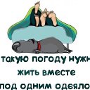  ,  -  15  2014    