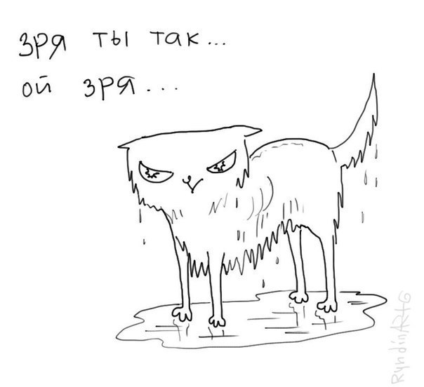 Без кота и жизнь не та - 30 декабря 2014 в 22:00