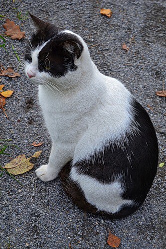 K K - 16  2014  16:47 - 2