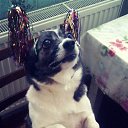 ������������) �� ������� ������ ��������