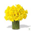 ���� �������, �����������, 61 ��� - ��������� 23 ����� 2015 � ������ ���� ����������