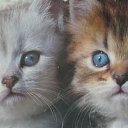 ���� ������, �����-���������, 74 ���� - ��������� 13 ������� 2015 � ������ ������ ��������