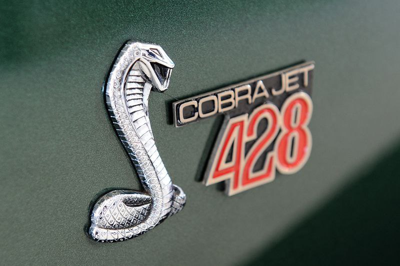 Shelby Mustang     - 3