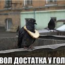 ���� �����, �������� - ��������� 6 ������� 2015 � ������ ������ ��������