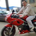 ���� ���������, ����, 49 ��� - ��������� 8 ������ 2015 � ������ ���� ����������
