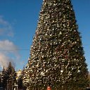 ���� ��������, ��������, 56 ��� - ��������� 6 ������ 2015 � ������ ���� ����������