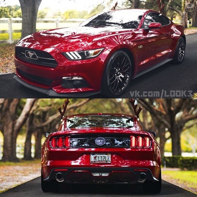 Ford Mustang. - 6