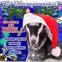 ���� Svetulja, ����, 55 ��� - ��������� 30 ������� 2014 � ������ ������ ��������