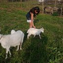 ���� �����, �����, 54 ���� - ��������� 8 ������ 2015 � ������ ���� ����������