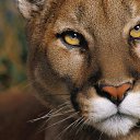 ���� �������, �����, 53 ���� - ��������� 21 ������ 2015 � ������ ������ ��������