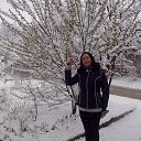 17  2015...    ..))    