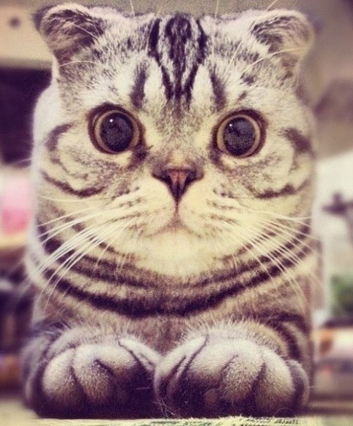       - 11  2015  23:42 - 4