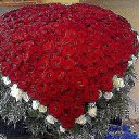���� ��������, ���, 47 ��� - ��������� 1 ������� 2015 � ������ ���� ����������