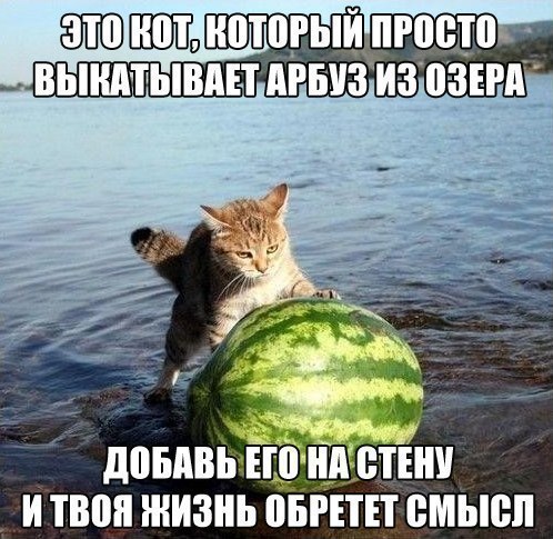    :D - 16  2015  03:39