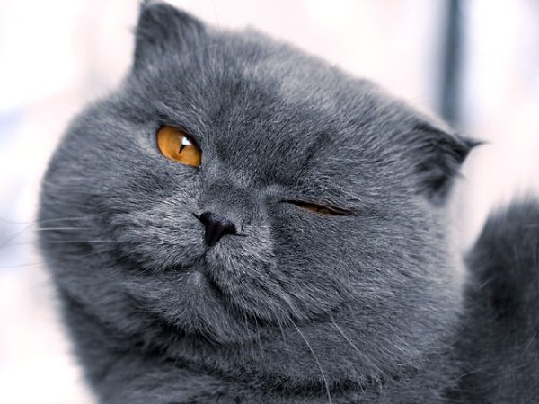  :3