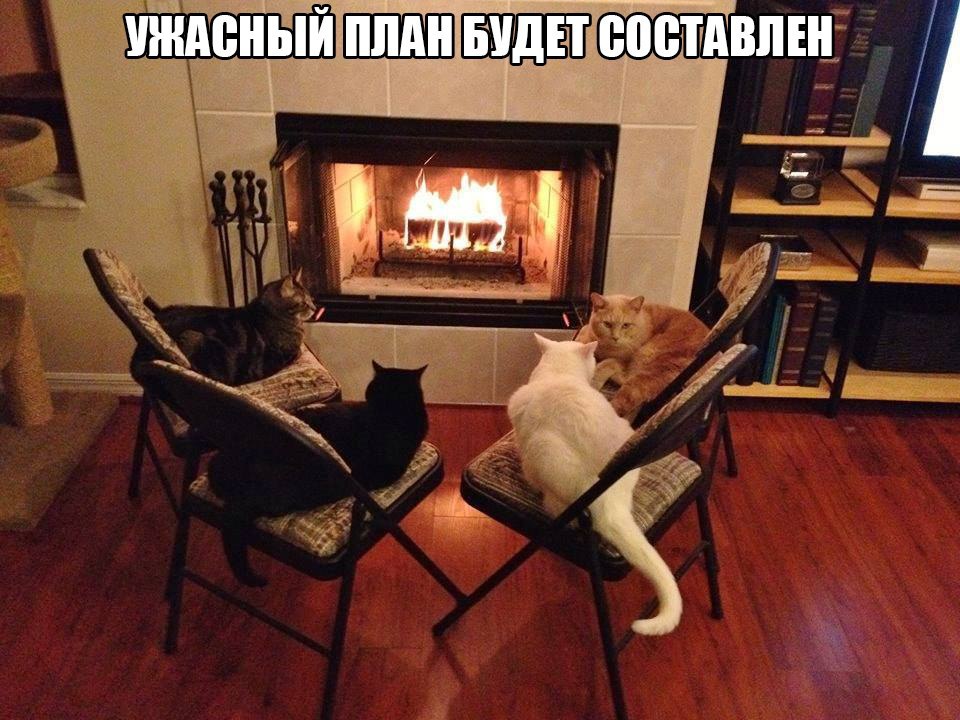  - 19  2015  15:07