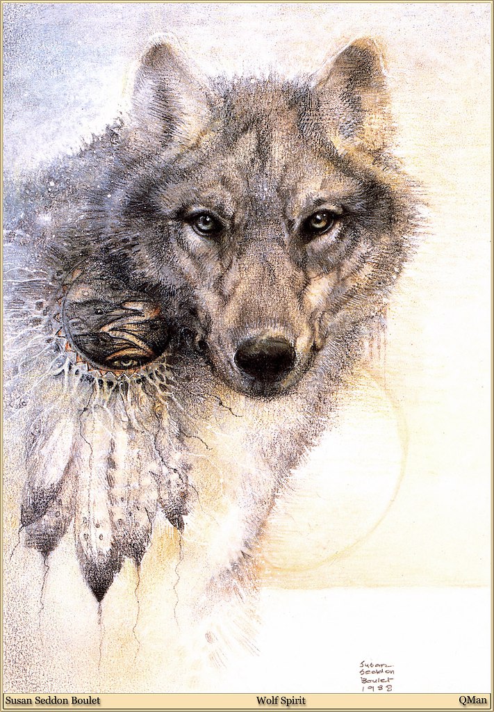 Susan Seddon Boulet  "" - 16