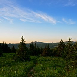 ���� �����, ���, 58 ��� - ��������� 21 ������ 2015