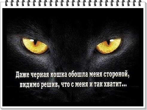   - 5  2015  08:58