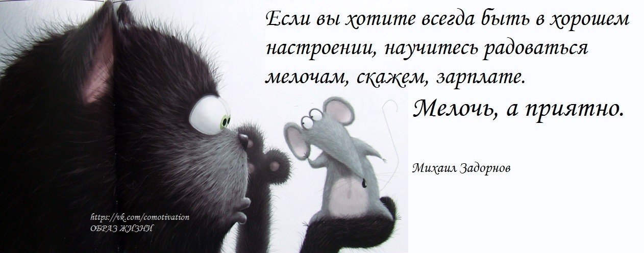   - 17  2015  17:29