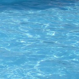 �����, �����, 36 ���